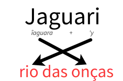 Jaguari: îagûara + 'y