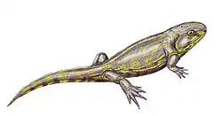 Eucritta melanolimnetes