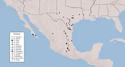 Espécies de Eucteniza na América do Norte