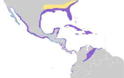 Ano inteiro Não-reprodução Passagem