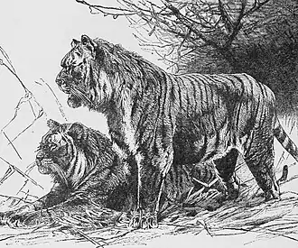 ilustração em preto e branco