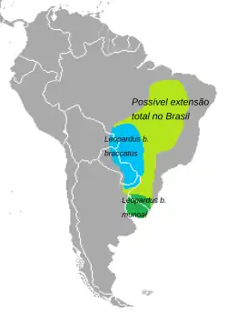 Distribuição do Leopardus braccatus
