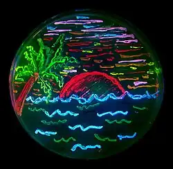 Cena de praia feita com bactérias vivas numa placa de Petri expressando proteínas fluorescentes&nbsp;[en] diferentes. Arte microbiana&nbsp;[en] de Nathan Shaner, 2006