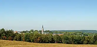 Horizonte de Falkenstein