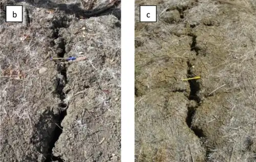 Fendilhamento em Vertissolo (Lima, 2014)