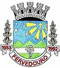 Brasão de armas de Fervedouro
