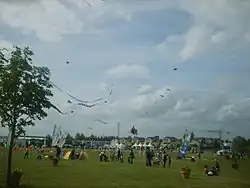 Festival europeu de papagaio