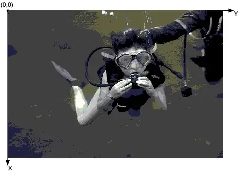 Apresentação de uma imagem com seu posicionamento no eixo cartesiano.