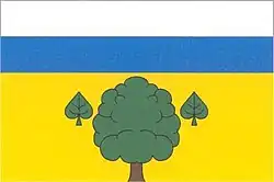 Bandeira de Běleč nad Orlicí