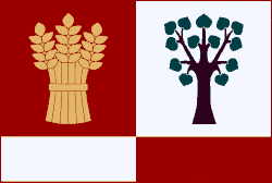 Bandeira de Bařice-Velké Těšany