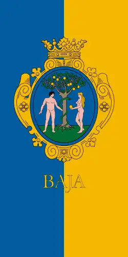 Bandeira oficial de Baja