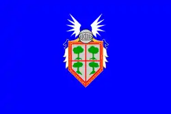 Bandeira de Barañáin