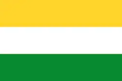 Bandeira oficial de Belém