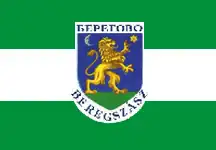 Bandeira de Beregovo