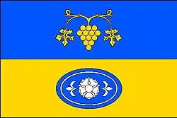 Bandeira oficial de Borkovany