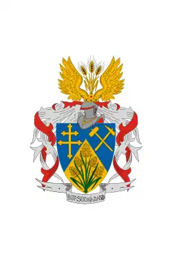 Bandeira de Borsodnádasd