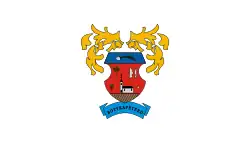 Bandeira de Botykapeterd