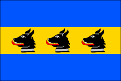 Bandeira de Branov