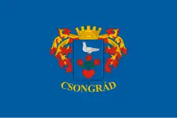 Bandeira de Csongrád