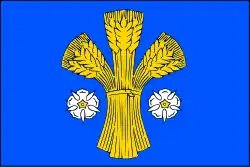 Bandeira de Dolní Lutyně