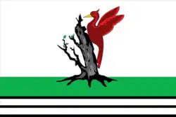 Bandeira de Yelabuzhsky