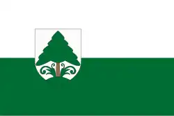 Bandeira de Fenyőfő