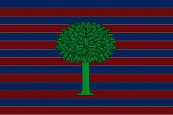 Bandeira oficial de Floresta