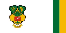Bandeira de Gyönk