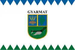 Bandeira de Gyarmat