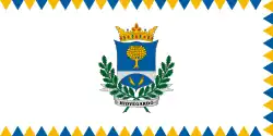 Bandeira de Hidvégardó