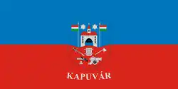 Bandeira de Kapuvár