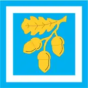 Bandeira oficial de Koonga