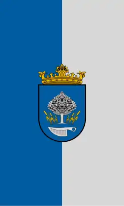 Bandeira de Magyarnádalja