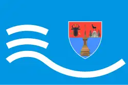 Bandeira de Maramureș