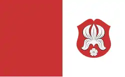 Bandeira de Mezőtúr