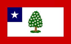 Bandeira do Mississippi (15 de abril de 1861 — 22 de abril de 1865)