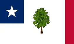 Bandeira do Mississippi (1861 — 1865)