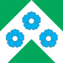 Bandeira oficial de Mooste