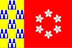 Bandeira de Nava