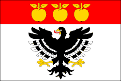 Bandeira de Nechvalice