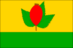 Bandeira de Nesuchyně
