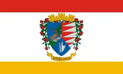 Bandeira de Nyírlugos