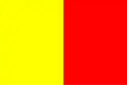 Bandeira de Orleães