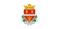 Bandeira de Oszlár