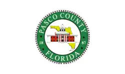 Bandeira de {{{nomept}}}