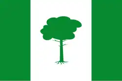 Bandeira de Pinos Puente