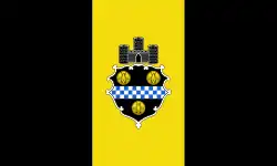Bandeira de Pittsburgh