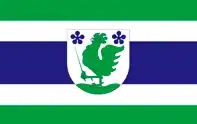 Bandeira de Põlva.