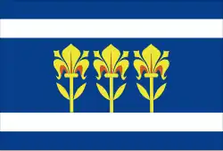 Bandeira de Provodov