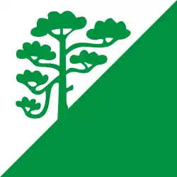 Bandeira oficial de Raasiku